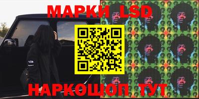 apvp Свободный