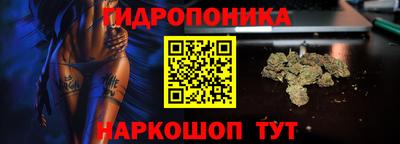 apvp Свободный