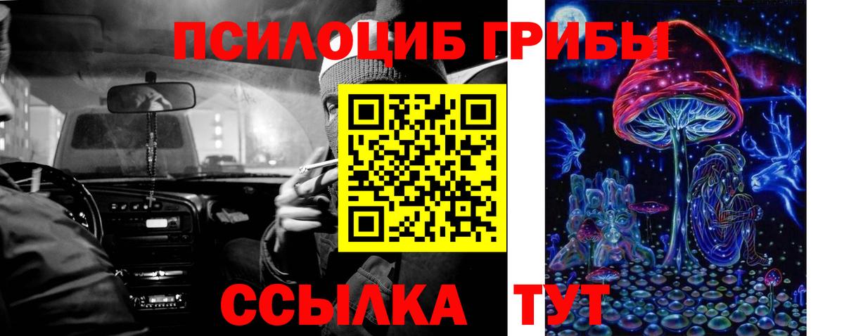 Галлюциногенные грибы MAGIC MUSHROOMS  Вход с VPN  Псилоцибиновые грибы Psilocybe  Пугачёв 